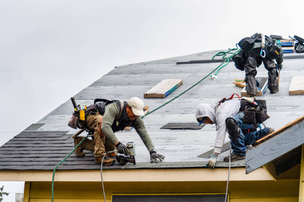Professional Roofing technician working in Albany, WI